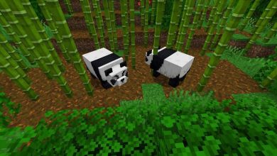 An Overview of How To Tame Pandas In Minecraft? What Are The Behavior Of Pandas On Minecraft 2021