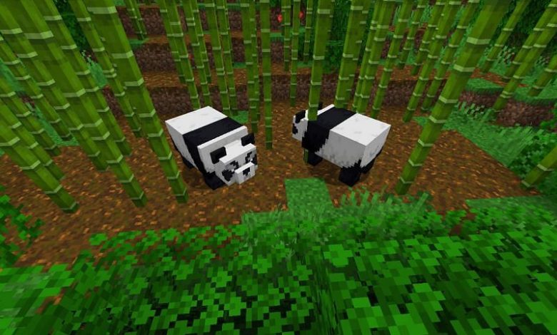 An Overview of How To Tame Pandas In Minecraft? What Are The Behavior Of Pandas On Minecraft 2021