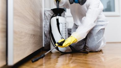 Significant Reasons For Hiring A Professional Pest Control Company