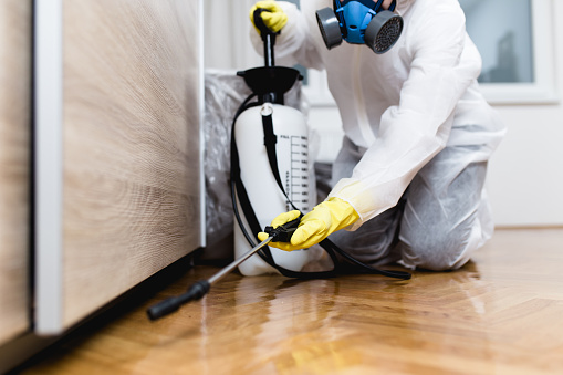 Significant Reasons For Hiring A Professional Pest Control Company