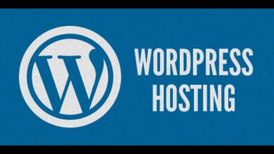Convincing WordPress Hosting Service