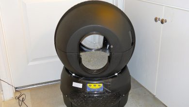 Difference Between Litter Robot 3 And 4