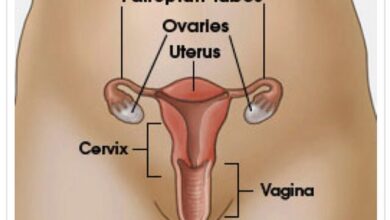 Vaginal Health
