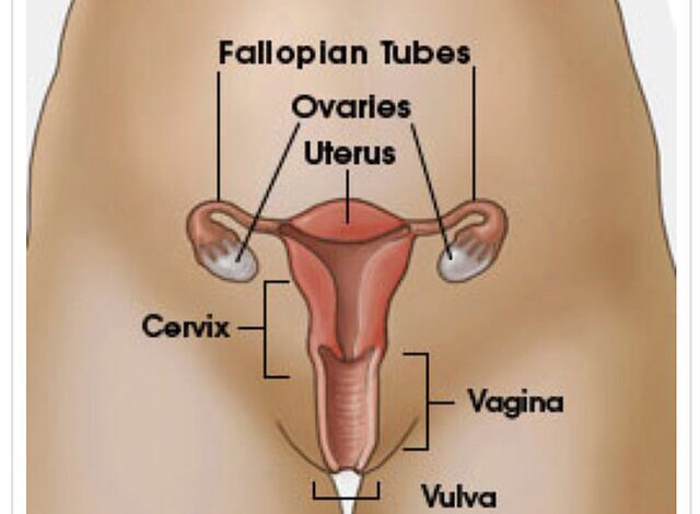 Vaginal Health