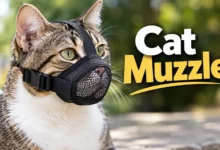 Cat Muzzle