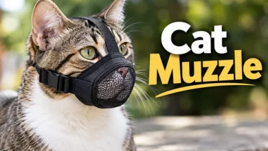 Cat Muzzle